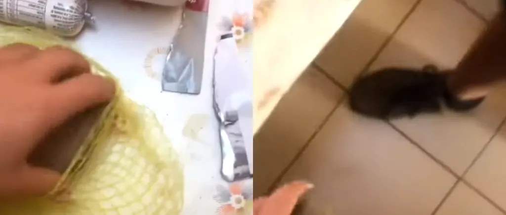 Ireal ce a găsit o femeie în sacul cu CARTOFI cumpărat de la magazin. „Ne dăm seama după...”