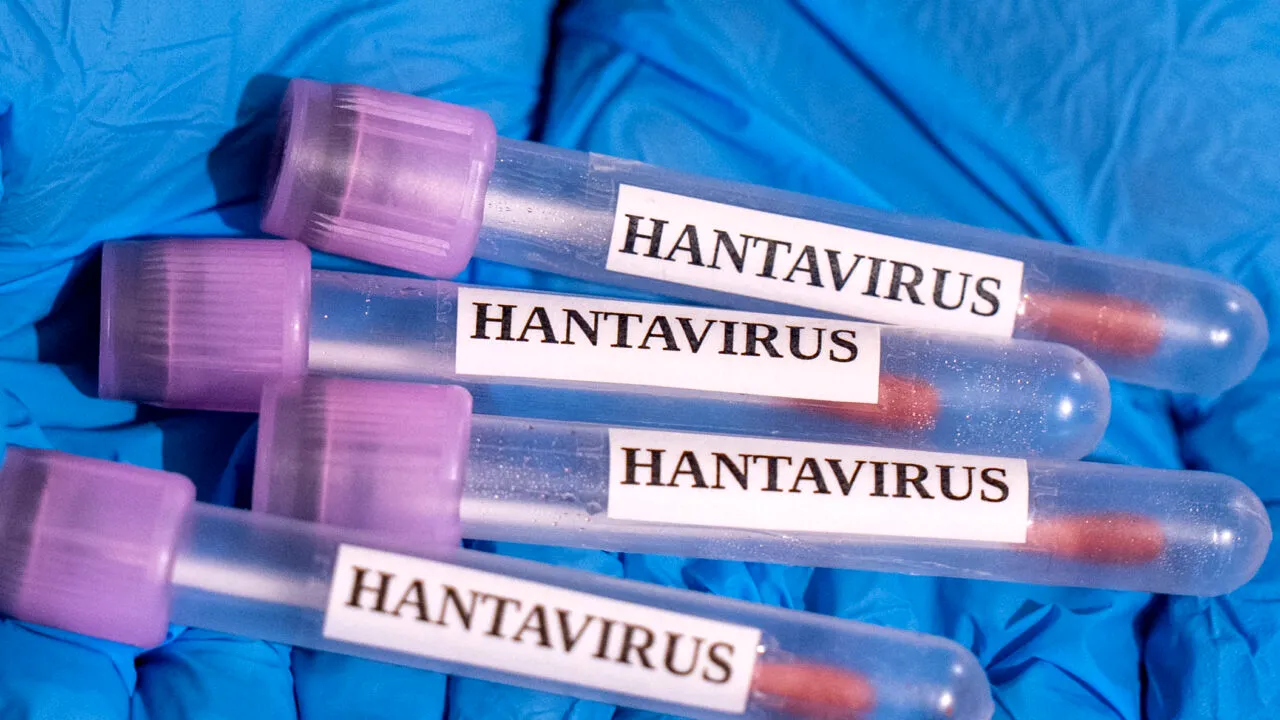 Caz suspect de hantavirus depistat în Spania. Anunțul secretarului de stat pentru sănătate