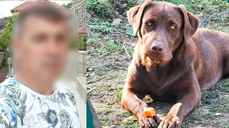 HALUCINANT. Un hunedorean ar fi răpit de mai multe ori o cățelușă labrador, pe care ar fi violat-o. „Venea cu bicicleta și avea o pungă pe față”