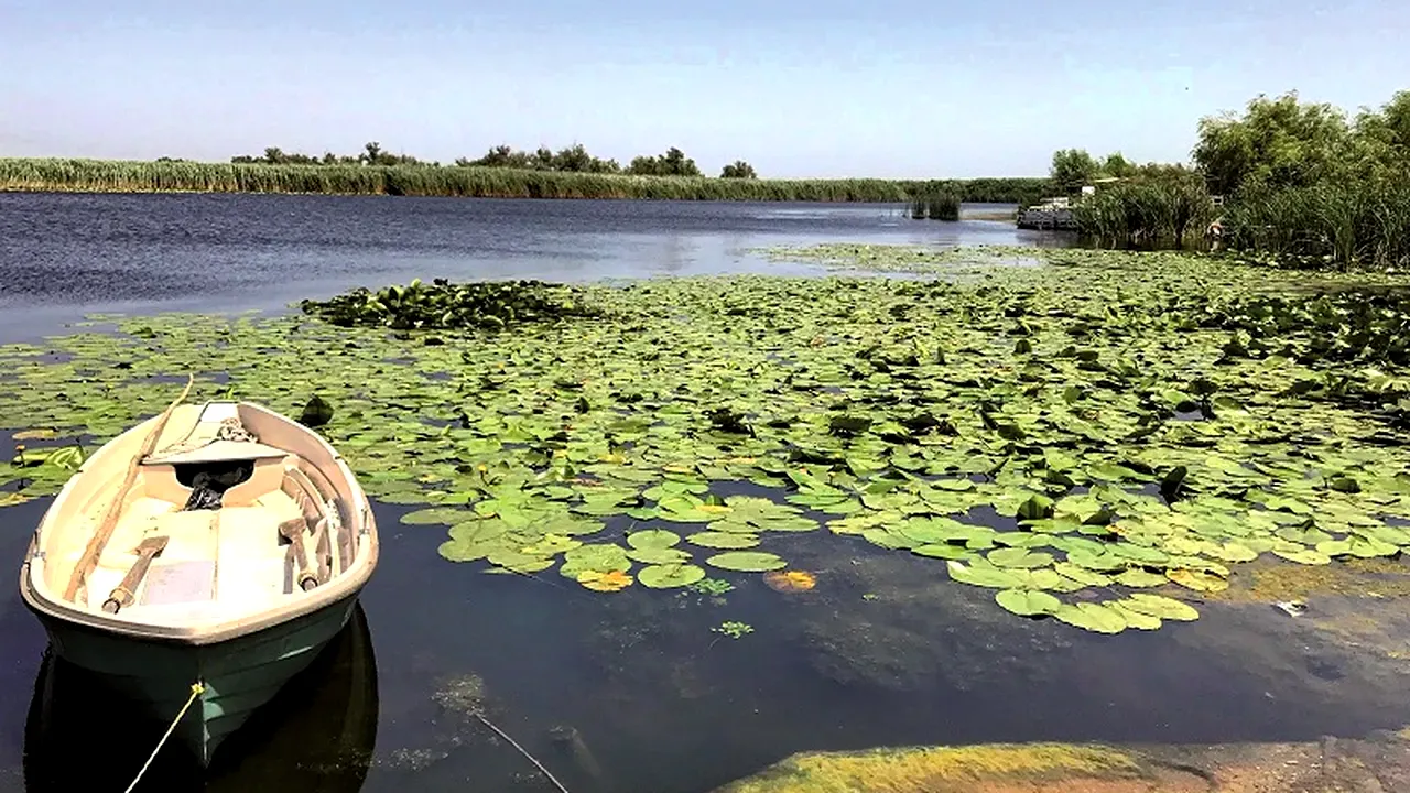 Turiștii fug de Delta Dunării după alertele cu drone. Primarul din Tulcea: „Ne-a afectat cel mai mult”