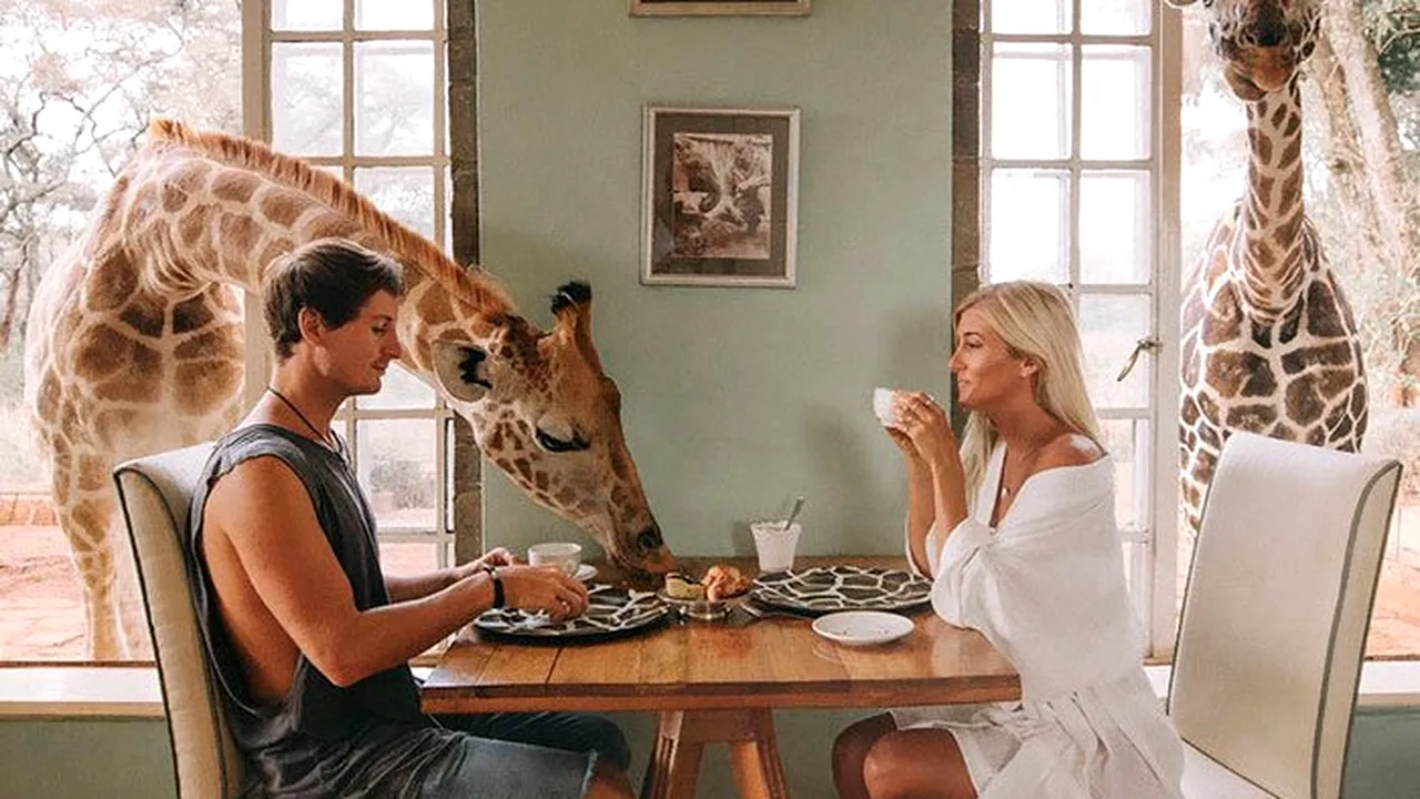 Cum ajuns un cuplu să câștige 9000$ pentru o singură poză. Secretul fotografiilor, dezvăluit. GALERIE FOTO