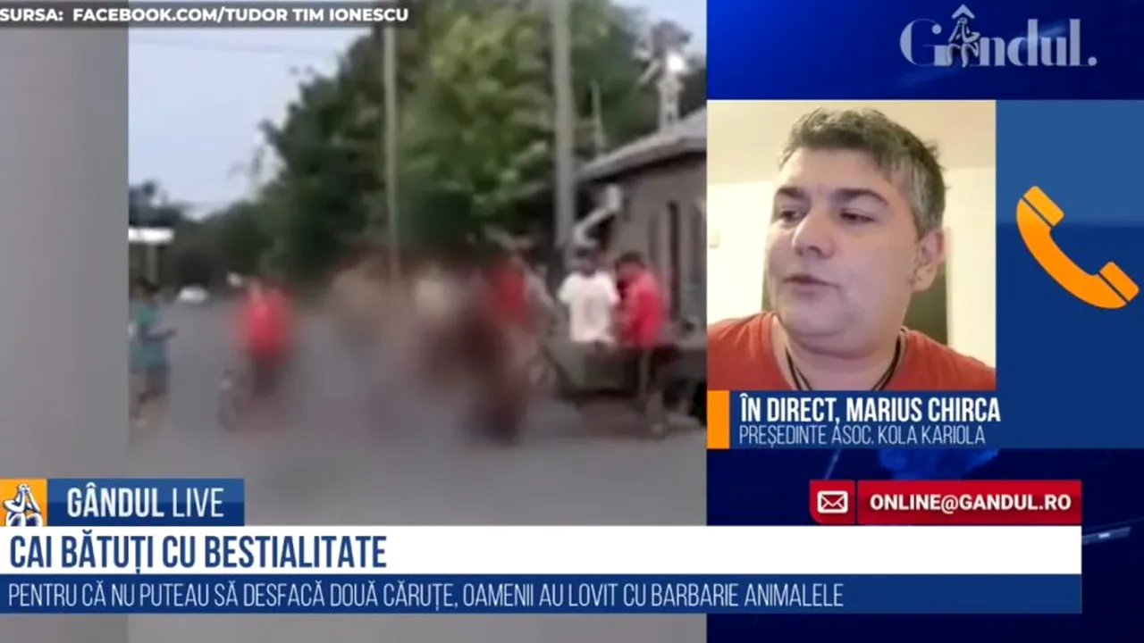 GÂNDUL LIVE. Marius Chirca, președintele Asociației Kola Kariola, despre cazul cailor bătuți cu bestialitate: „Eu nu mai trag nicio speranță! Este o lipsă totală de educație”