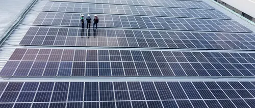 De la energie verde la economii mari: Cum să alegi cel mai bun sistem fotovoltaic pentru afacerea ta?