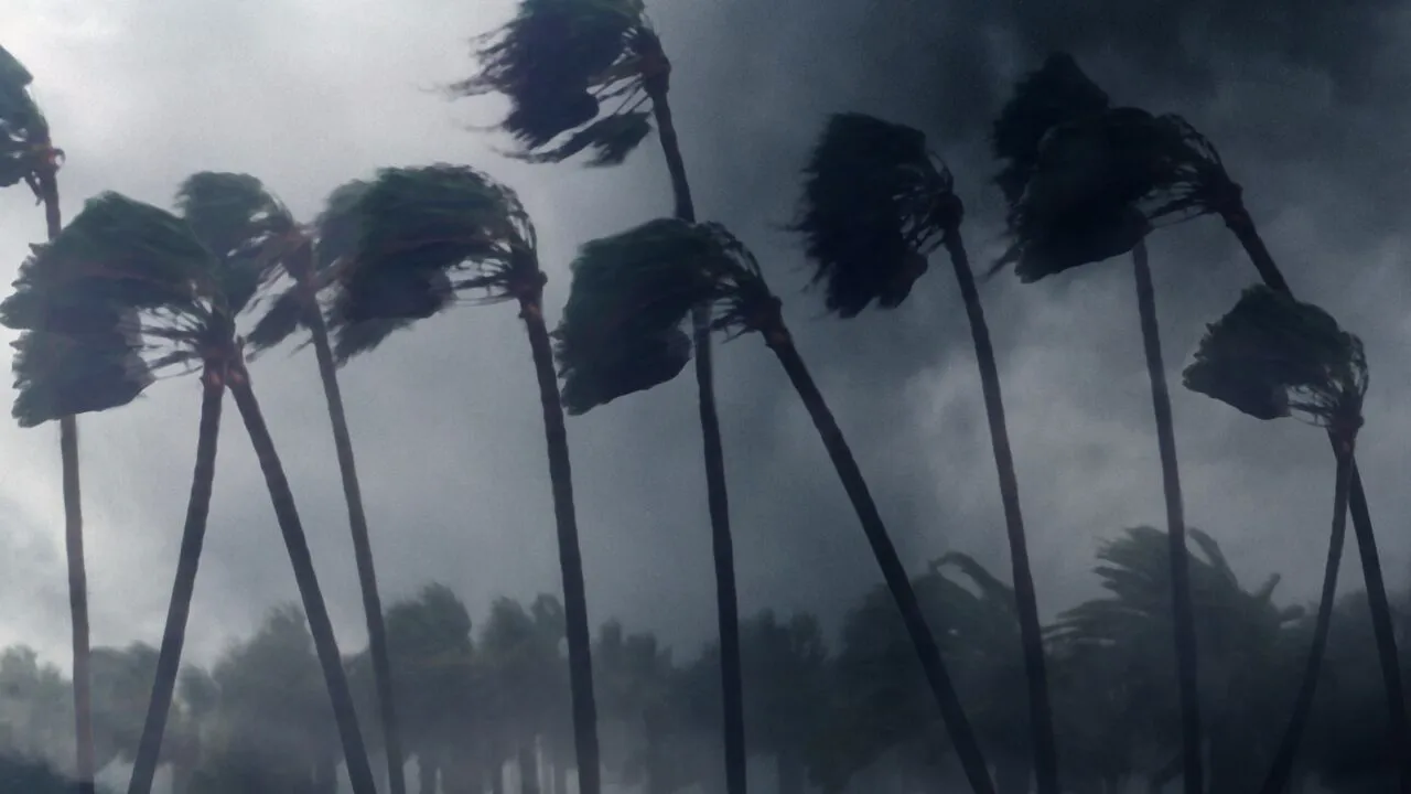 În HONG KONG s-a emis cea mai mare avertizare de furtună/Taifunul Wipha mătură tot în calea sa, cu viteze de peste 167 km/h!