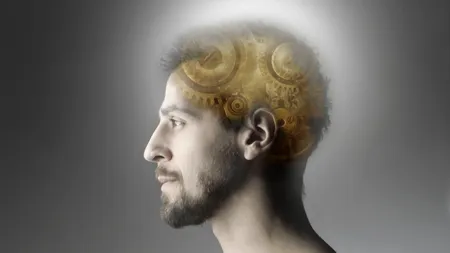 Care sunt cele două sisteme de gândire care ne controlează viața