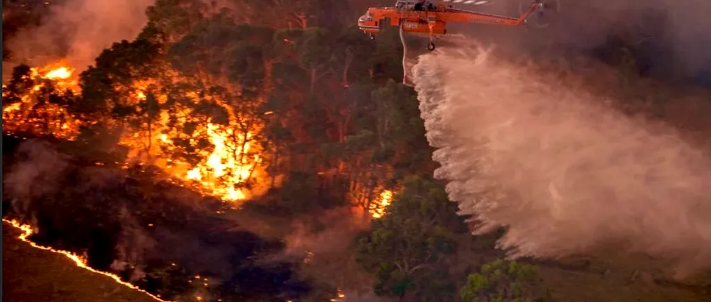 Situație dramatică. Fumul degajat de incendiile din Australia a ajuns în Argentina și Chile