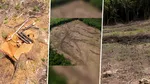 Continuă dezastrul în Pădurea Hoia din Cluj. Imagini surprinse cu drona arată defrișarea masivă a zonei