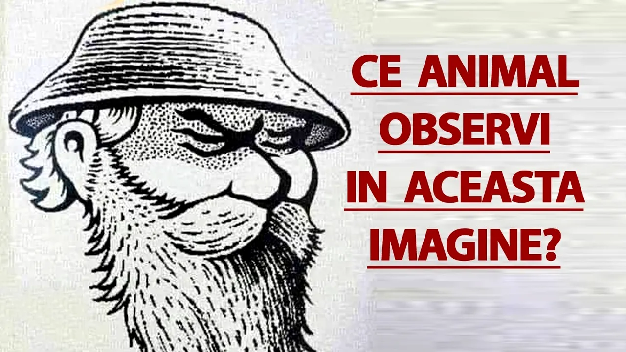 Test de inteligență | Ce animal observi în această imagine? 9 din 10 se lasă bătuți!