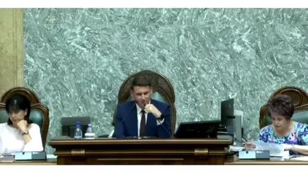 Legea decarbonizării sectorului energetic a trecut de Senat cu 73 de voturi, ca for decizional