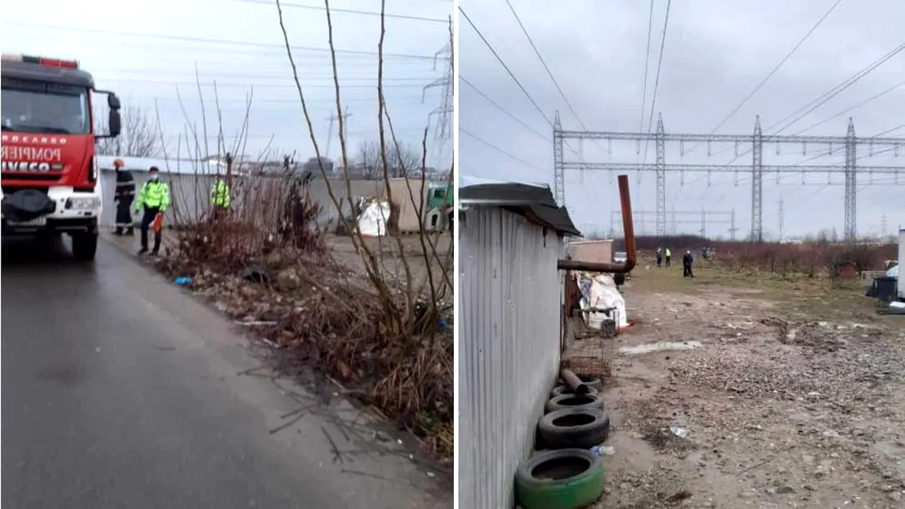 UPDATE: ULUITOR: Cel care se ocupă din umbră de „Adăpostul groazei” este un angajat de la Protecția Animalelor (ASPA)! GROAZNIC: Câini morți și incendiați găsiți la un depozit de la marginea Capitalei! „Este un adevărat masacru acolo!” / EXCLUSIV