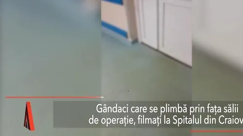 GÂNDACI care se plimbă prin fața sălii de operație, filmați la SPITALUL din Craiova