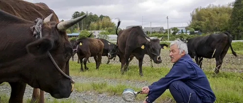 Singurul om care trăiește în zona radioactivă Fukushima. Motivul este impresionant