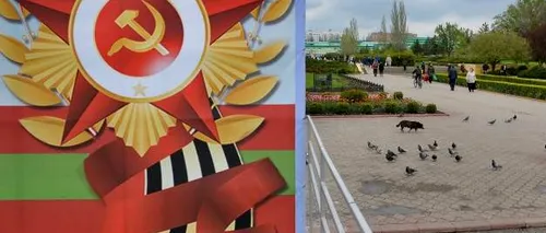 Câți dintre locuitorii Transnistriei vor unirea cu Rusia