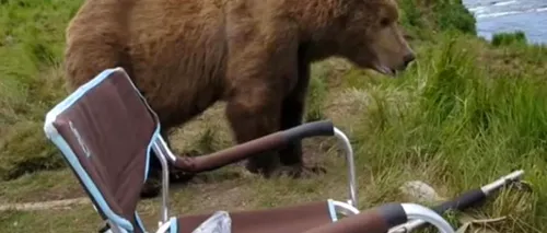 Un urs a ajuns periculos de aproape de un fotograf. Ce a urmat
