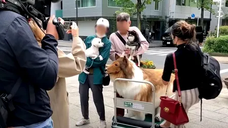 Japonezul care a cheltuit 12.500 de lire sterline pentru a deveni „CÂINE” se plânge că este respins de... câini