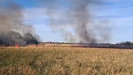 INCENDIU de proporții la poligonul MApN de lângă Craiova. Zeci de pompieri și militari intervin pentru a stinge flăcările