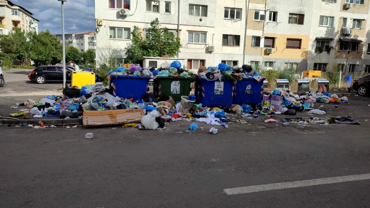 Taxă de 160 de lei pentru ridicarea gunoiului. Primăria aduce CLARIFICĂRI privind ridicarea deșeurilor abandonate
