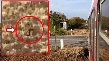 Descoperire IREALĂ făcută din greșeală de un turist. Ce a filmat pe geamul trenului