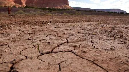 Zona din România unde SECETA a făcut prăpăd. Oamenii au rămas complet fără apă: 