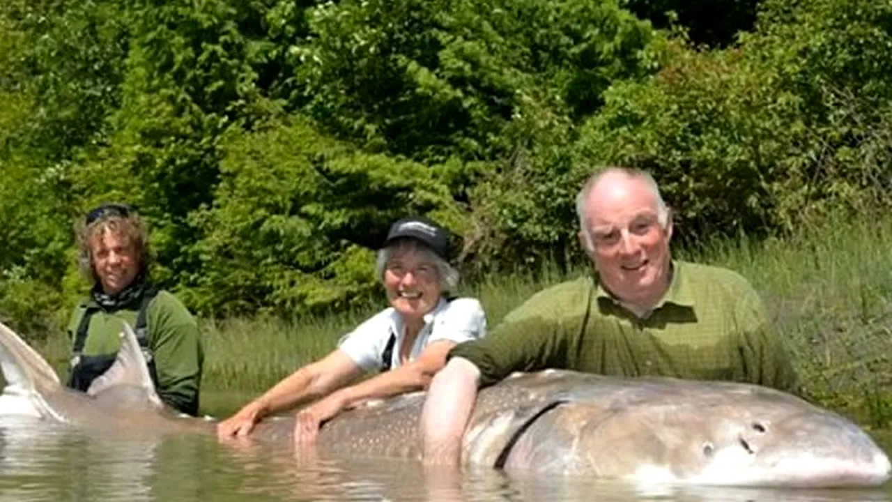 VIDEO. Captură RECORD la pescuit. 