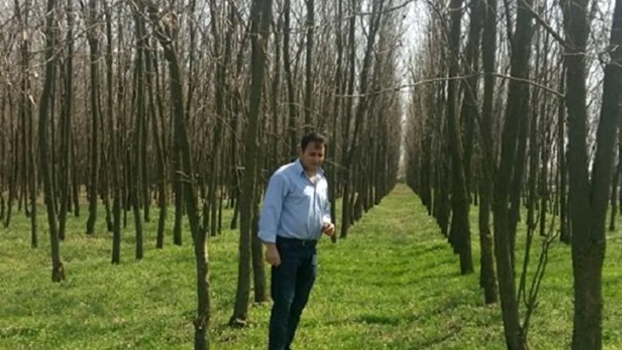 Se întâmplă în Teleorman. Fermier amendat după ce a plantat 40.000 de arbori: „Nu e vorba de bani! Mie nu mi-e frică!