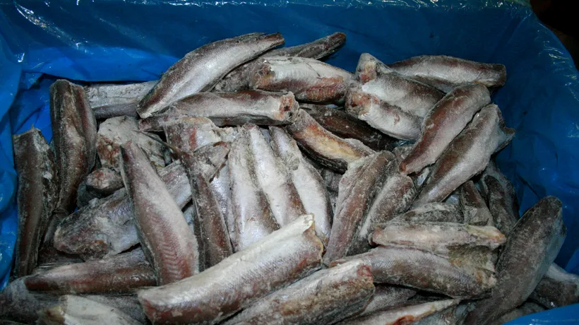 Zeci de tone de pește congelat infestat, pe piață