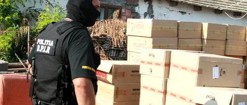 Ce au descoperit polițiștii bucureșteni într-un depozit din Ilfov: „Au fost aduse din Bulgaria