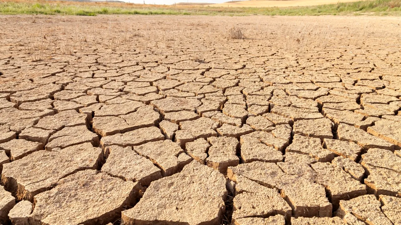 Dezastrele cauzate de secetă amenință dezvoltarea globală. ONU avertizează: „Seceta este pe cale să devină viitoarea pandemie”