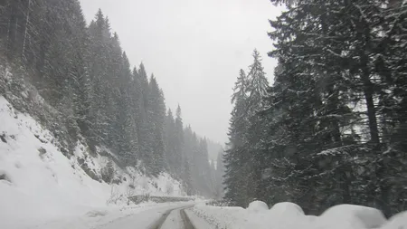 Transalpina se închide. Se anunță vreme rea și ninsoare viscolită