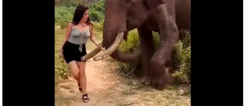Momentul ȘOCANT în care o femeie este atacată de un elefant înfuriat după ce l-a tachinat cu o banană