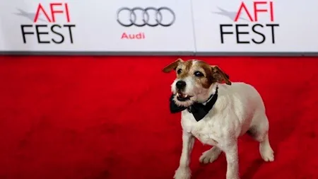 Cel mai cunoscut câine din lume, Uggie, din filmul 