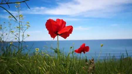 ANM, prognoză meteo pentru luna mai. Cum va fi vremea și când scăpăm de PLOI și frig