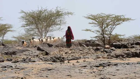 Rezerve masive de apă descoperite în Kenya