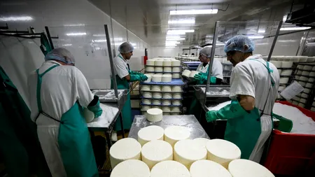 Este brânza prea SĂRATĂ? Iată trei metode simple pentru modificarea gustului