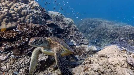 GOOGLE Street View a intrat la apă: ce obiectiv turistic a adăugat hărților. VIDEO