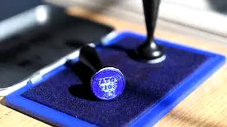 Două alianțe electorale admise pentru alegerile parlamentare. Una dintre ele, Mişcarea Patrioţilor Români, formată din partidul fondat de Viorel Cataramă și membrii familiei interpretei Gabi Luncă