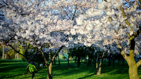 VREMEA: Temperaturi de peste 20  de grade în câteva zone din România. Prognoza METEO pentru următoarele zile