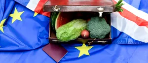 Efectele BREXIT: Exporturile de alimente ale Marii Britanii către UE au scăzut cu 3,6 miliarde de euro pe an