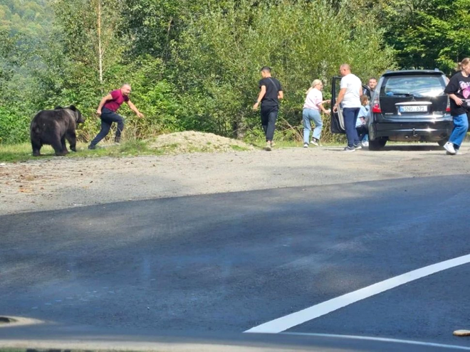 Mai mulți turiști, inclusiv copii, au fost la un pas să fie sfâșiați de un urs