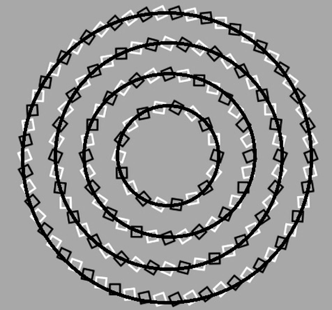 Iluzie optică virală | Câte cercuri sunt, în total?