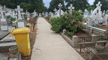 Motivul pentru care o femeie bogată a FURAT, timp de 7 luni, flori și jucării de pluș dintr-un cimitir. A fost prinsă cu ajutorul unui dispozitiv GPS