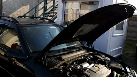 Fiscul va calcula valoarea timbrului de mediu în 2 zile lucrătoare de la depunerea documentației