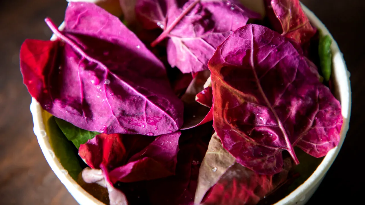 Care sunt beneficiile consumului de LOBODĂ și cum o preparăm