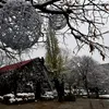 Încă un târg de Crăciun se deschide în Capitală. Bucureștenii sunt îndemnați să vină cu globulețe de acasă