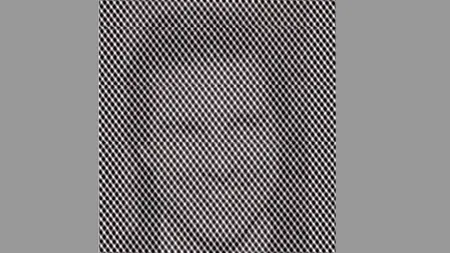 Iluzie optică virală | Ești un GENIU? Cine se ascunde în spatele acestei imagini?