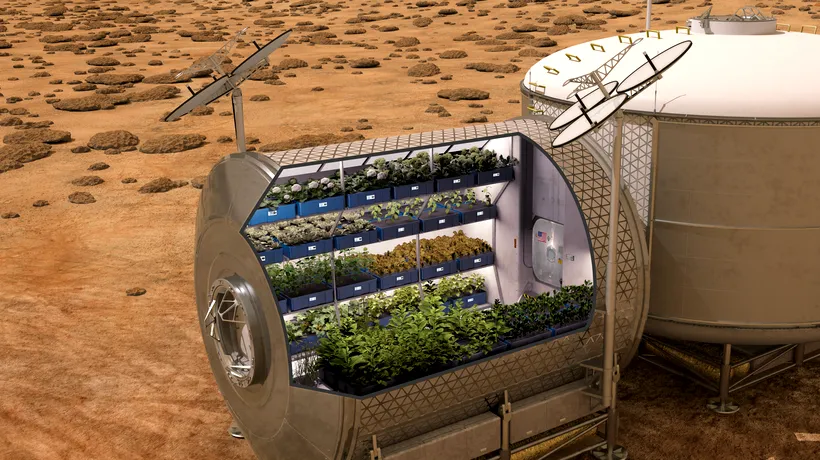 Astronauții vor mânca pentru prima dată salată plantată și crescută pe Stația Spațială Internațională