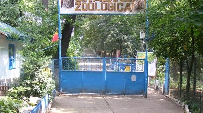 Grădina Zoologică din Bârlad vinde 200 de animale. Creșterea acestora nu se mai justifică