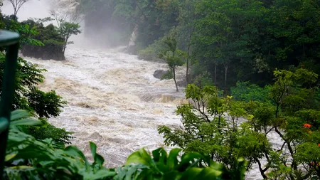 Râul Lotru a ieșit din matcă și a făcut prăpăd în județul Vâlcea. Tren deraiat, gospodării inundate, drumuri blocate!