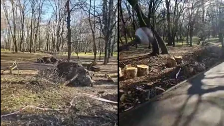 Priveliște DEZOLANTĂ în parcul Herăstrău. Cetățenii sunt revoltați: 