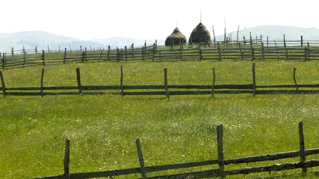 Conferință Mediafax Talks about European Funds. Ministerul Agriculturii va achita în avans, din octombrie, 50% din sprijinul pe suprafață pe 2013 pentru fermieri